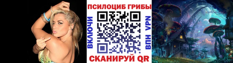 MEGA сайт  купить наркотик  Лихославль  Галлюциногенные грибы Psilocybe 